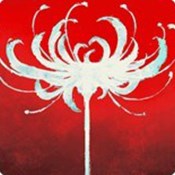 绿色征途手游弓箭技能完美加点(绿色征途手游弓箭攻略)